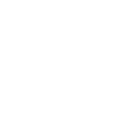 Traedi Logo